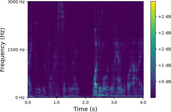 Spectrum 7
